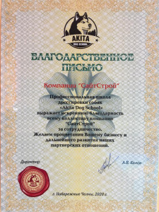 Акита ДС